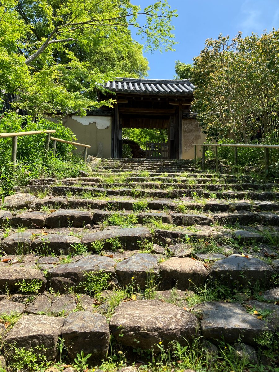 白毫寺からの眺望 — 標高200mの高台から奈良市内を一望
