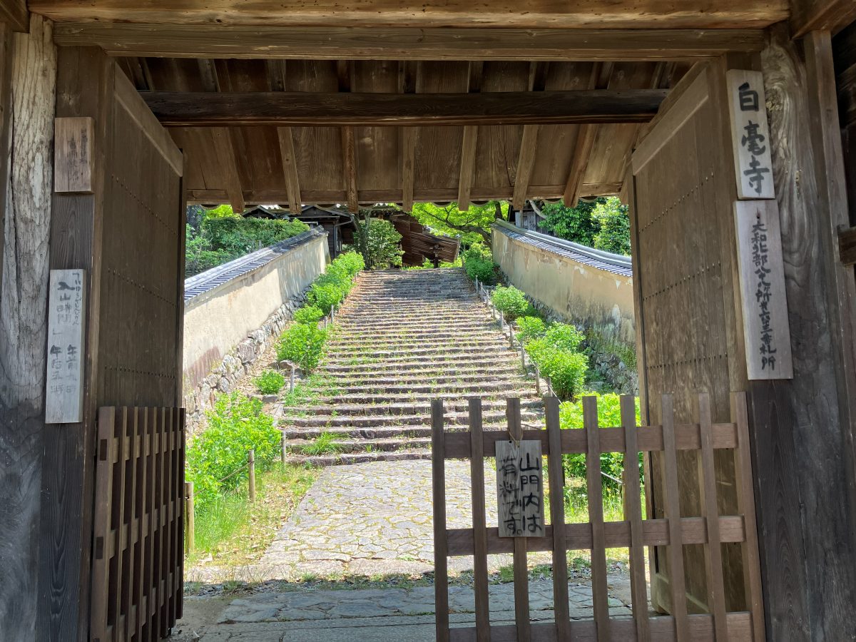 白毫寺の山門