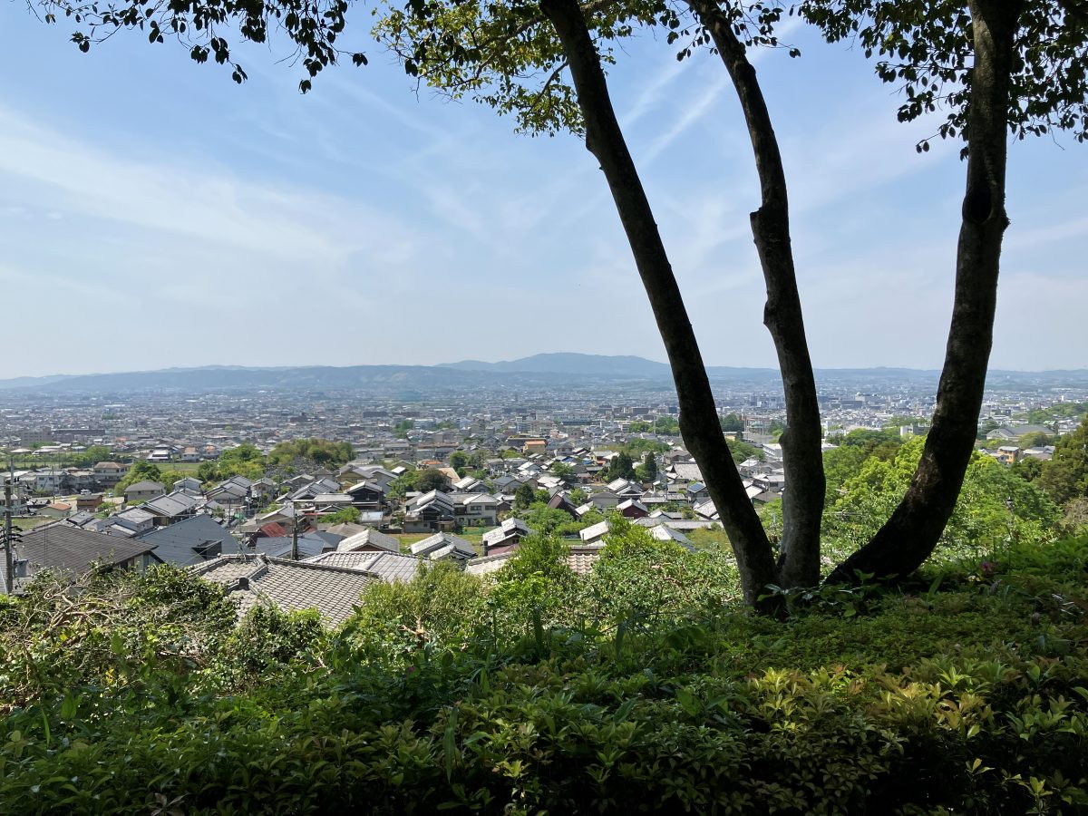白毫寺の境内 — 緑豊かな高台のお寺