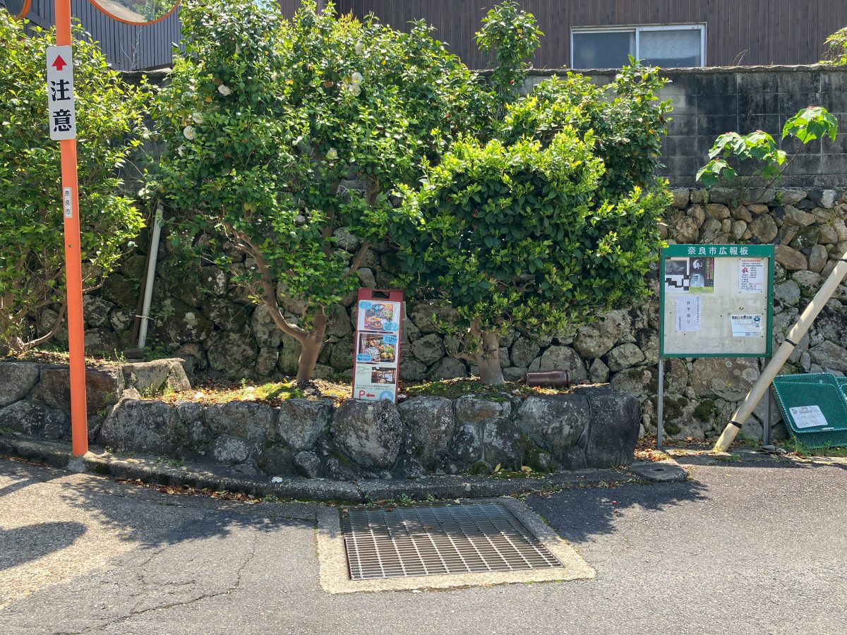 T字路の分かれ道 — 右折