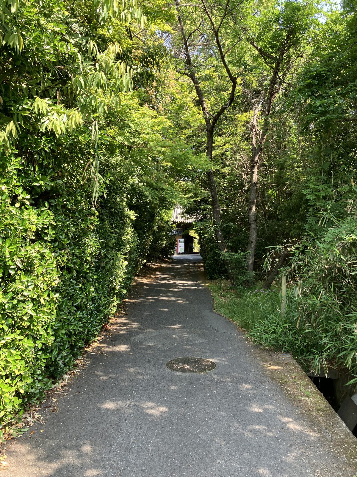 不退寺への参道入口に続く緑のトンネル。木々が道を覆う