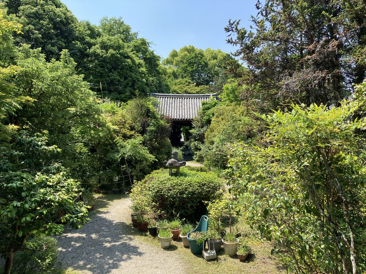 本堂側から見た不退寺の境内。緑に包まれた静かな空間