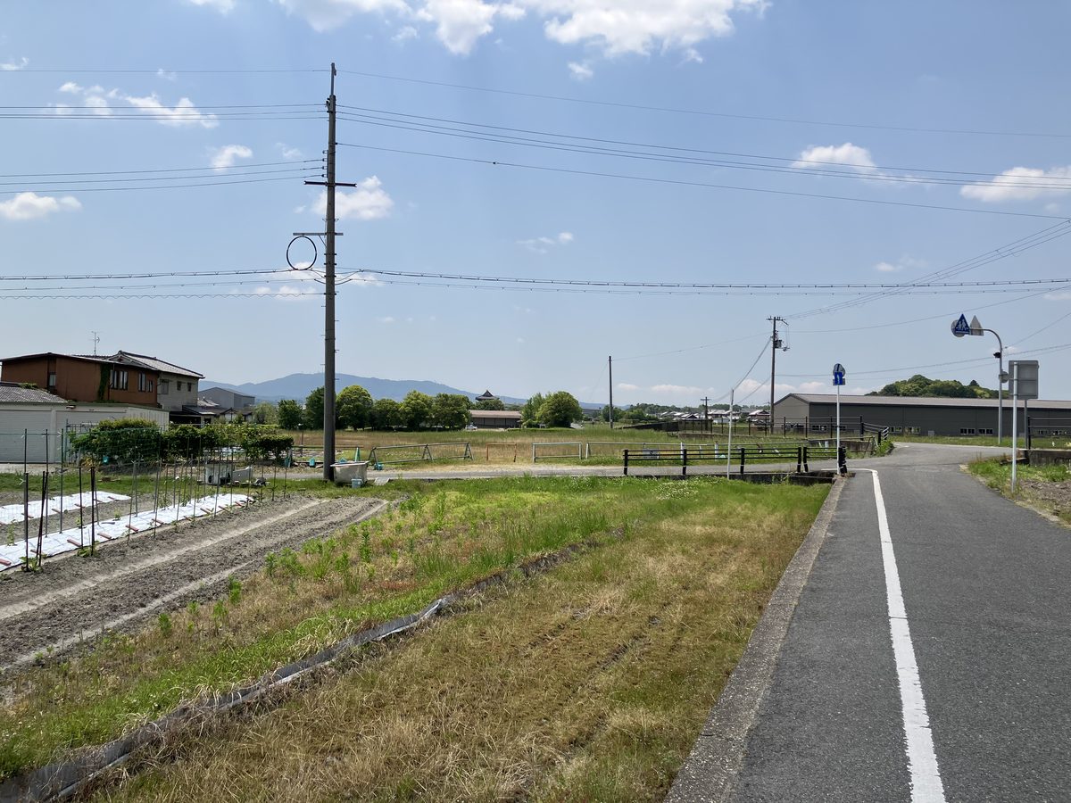 視界が広がり、遠くに平城宮跡の復元施設が見える