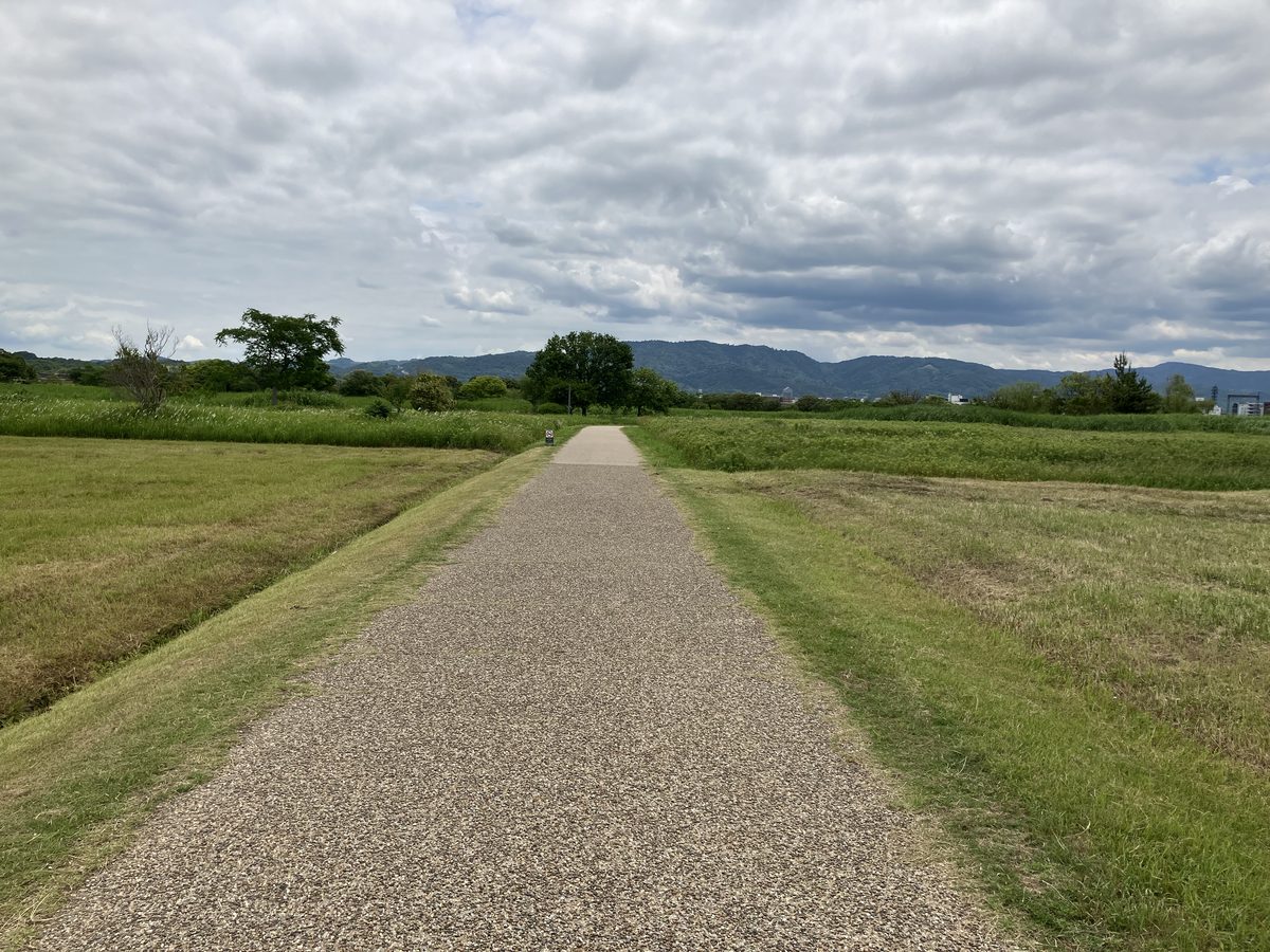 平城宮跡の敷地を走る近鉄奈良線の鹿ラッピングカー