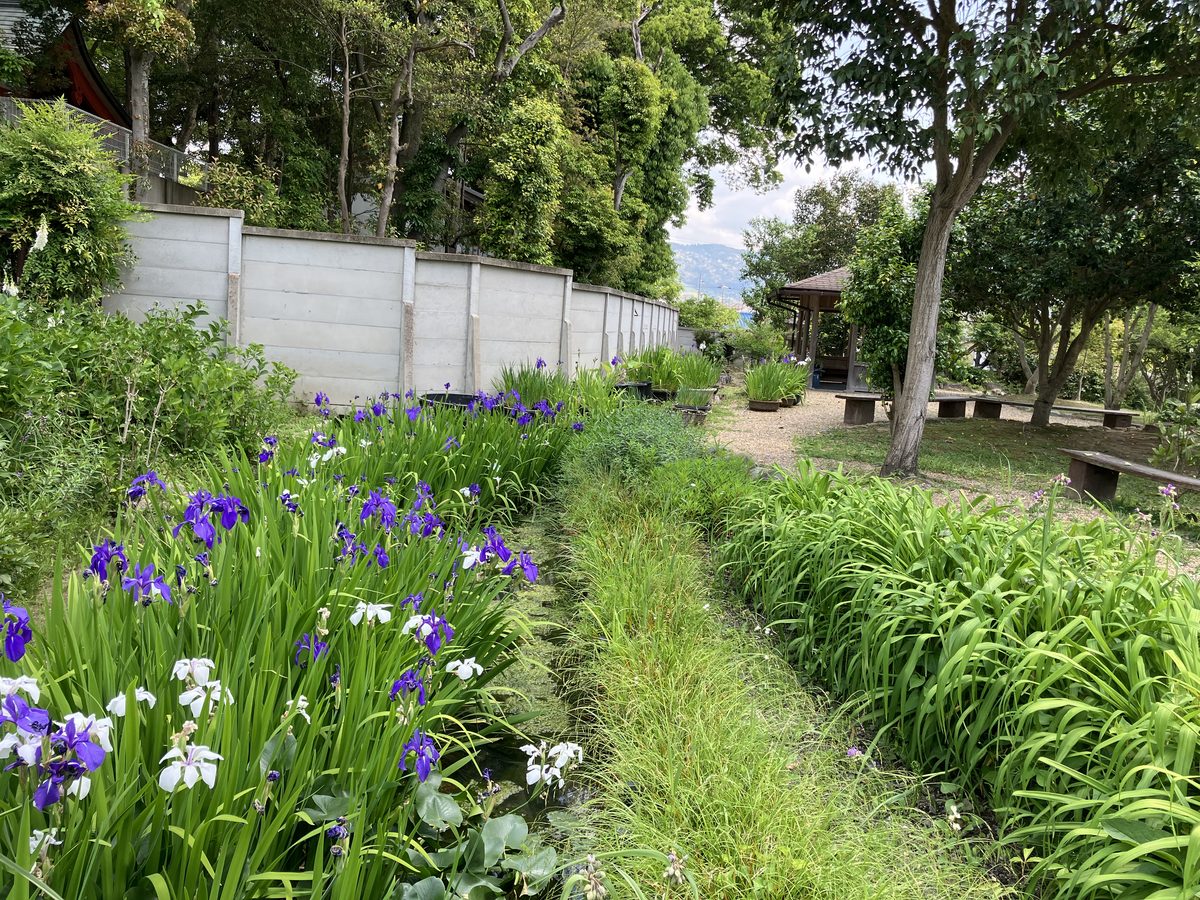 法華寺の華楽園。奥には若草山が見える
