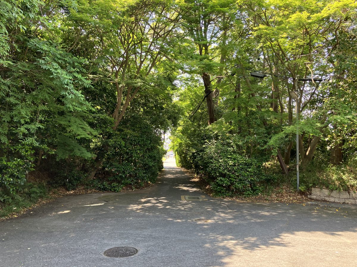 不退寺の緑のトンネルを抜けて元来た道を戻る