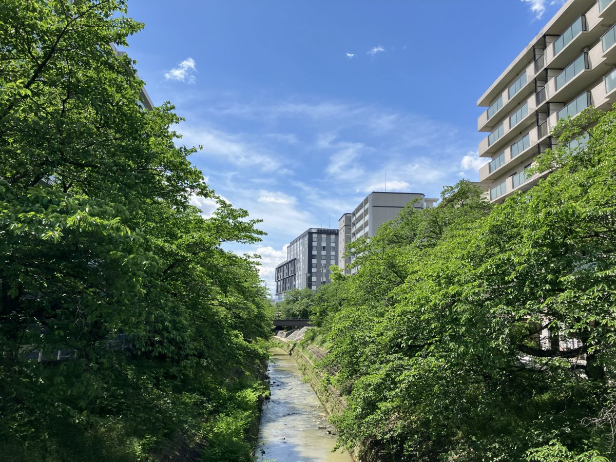 桜が終わった5月初旬、同じ鉄橋から見た佐保川。青空と新緑が美しい