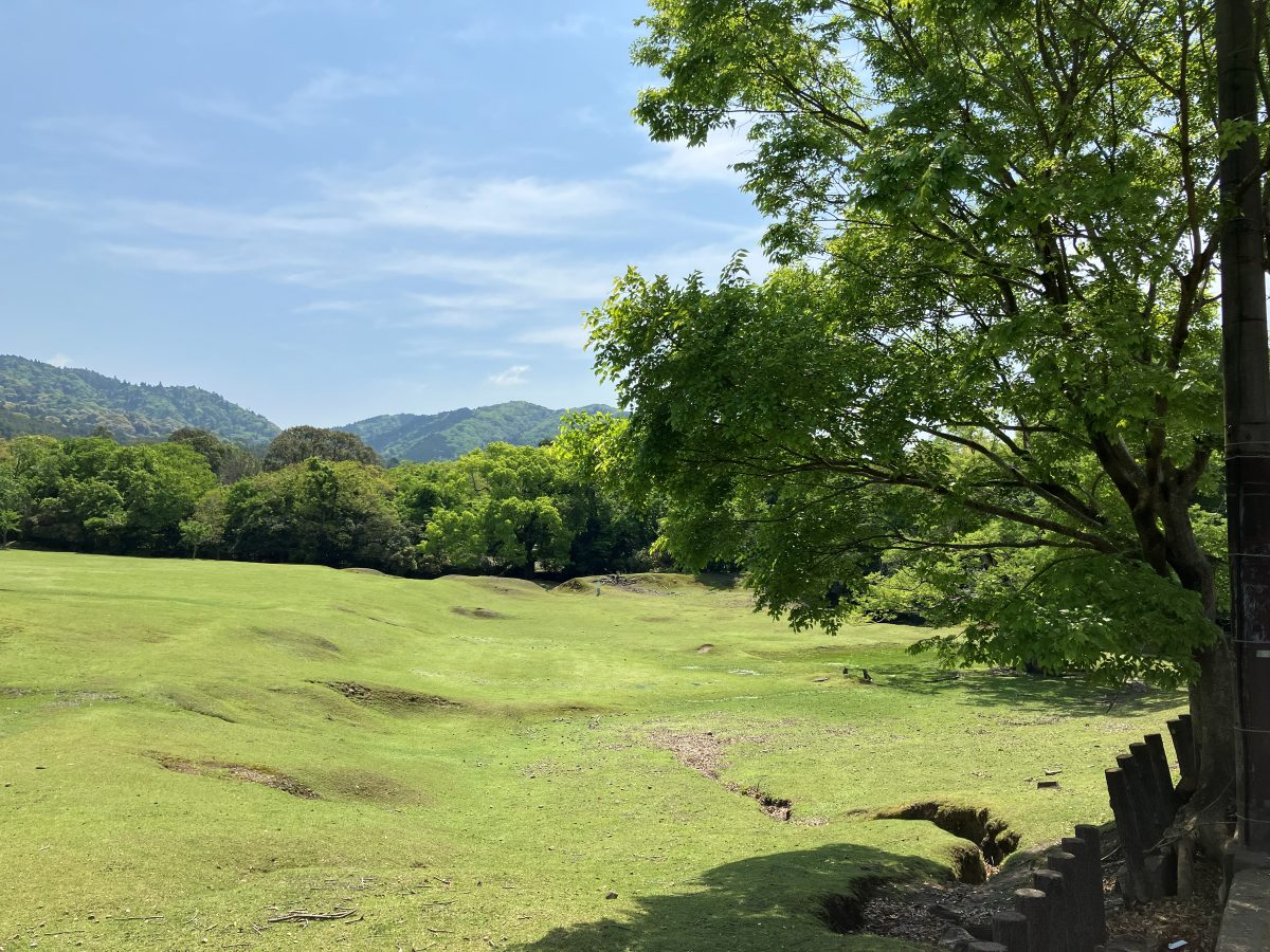 飛火野が左手に見える道